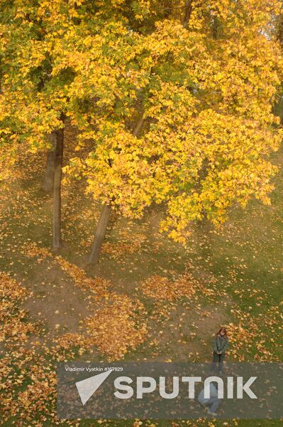Autumn beauty