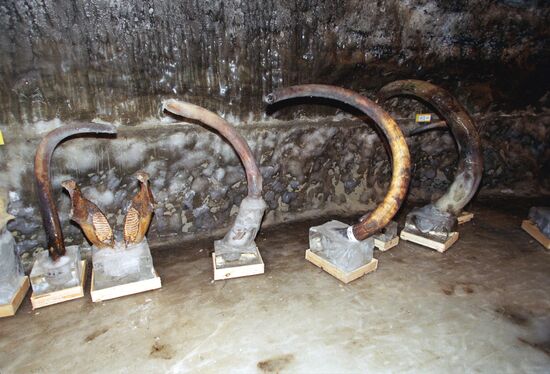 Taimyr, Khatenga, mammoth, museum