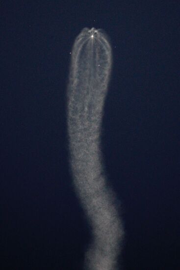 Launch of the Soyuz TMA-11 rocket