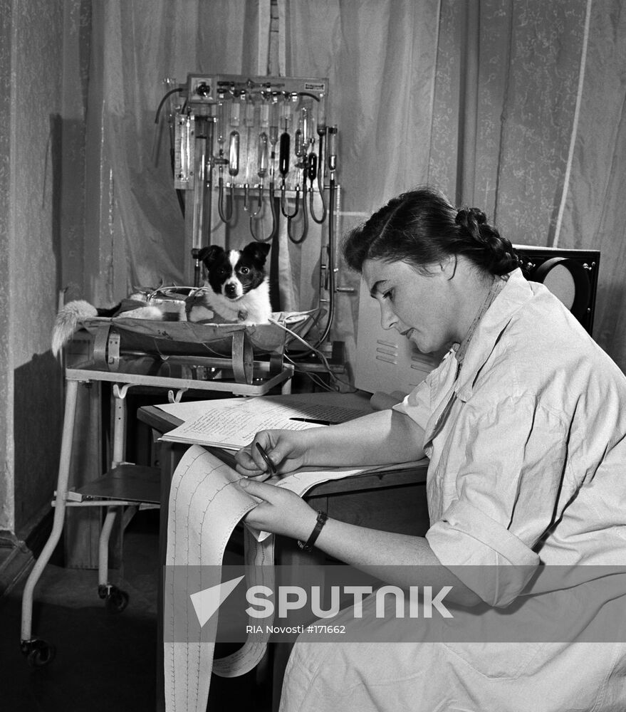 Physiologist, Kotovskaya, dog Laika, preparation for spaceflight