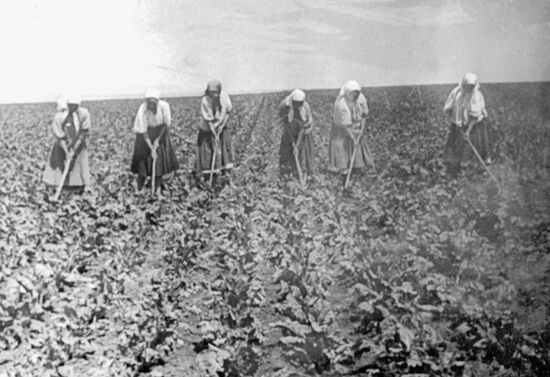 Ukraine field work
