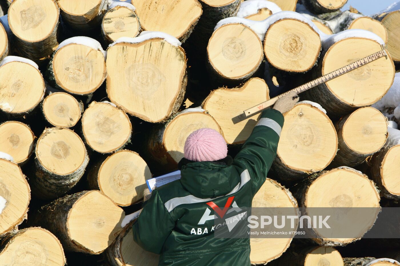 Timber-processing works
