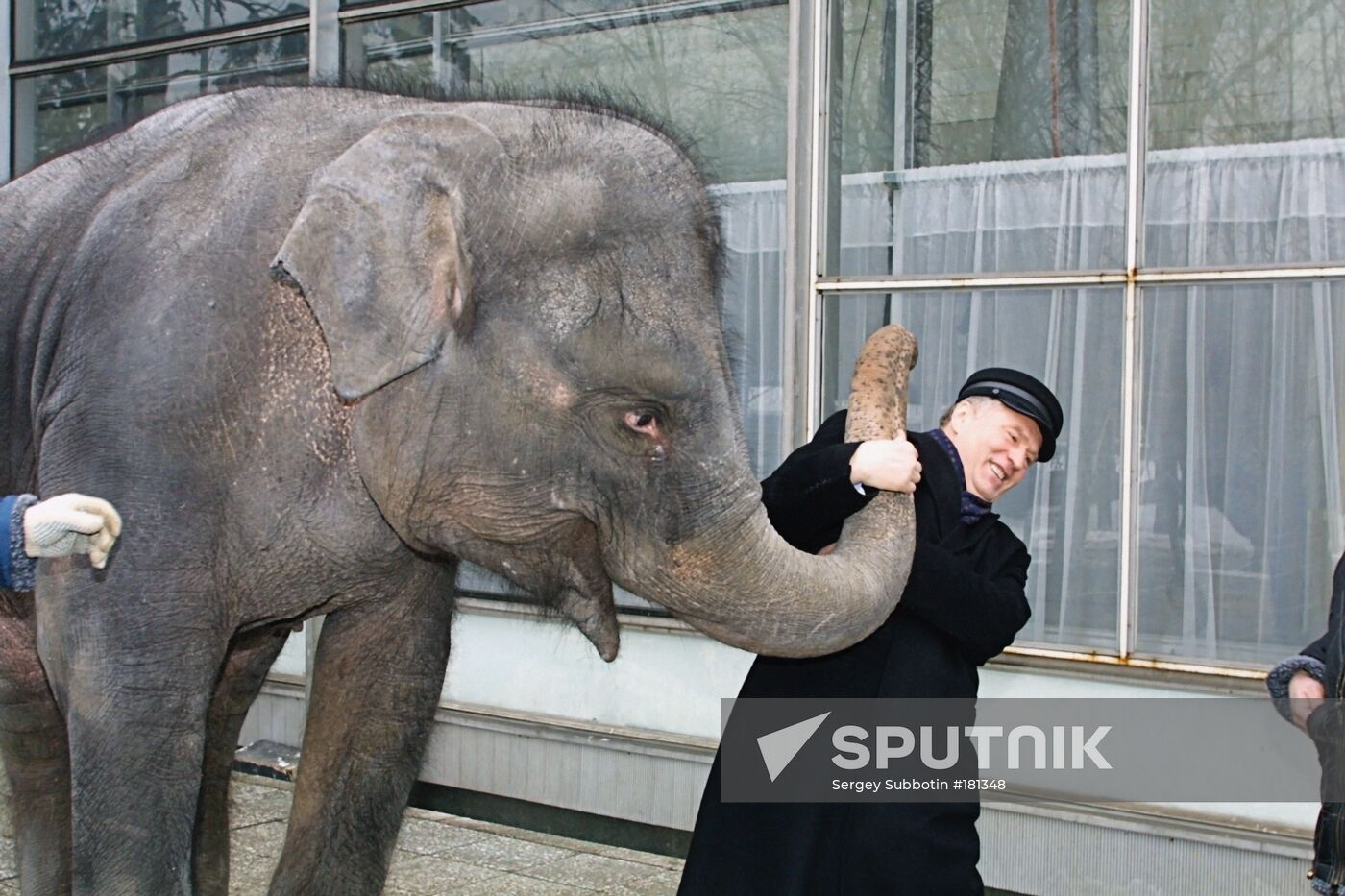 Zhirinovsky LDPR elephant
