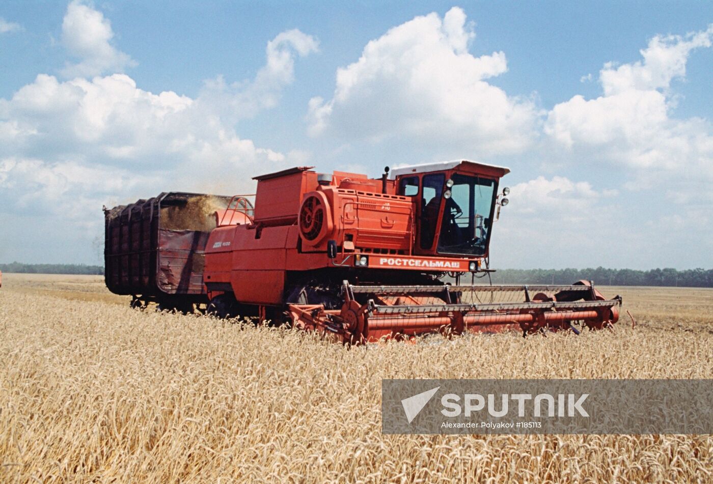 Krasnodar Territory harvesting season