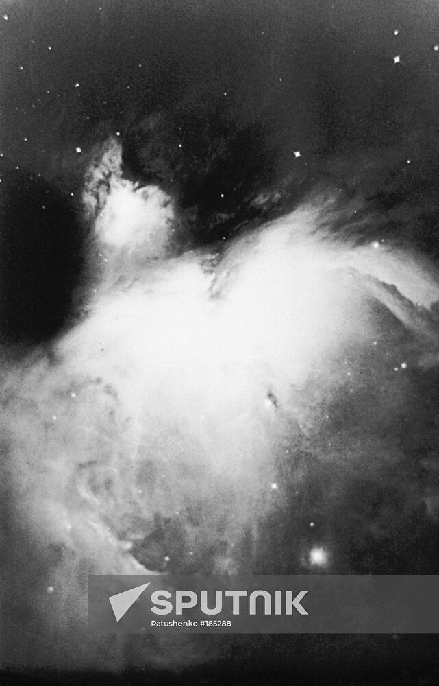 Orion Nebula 