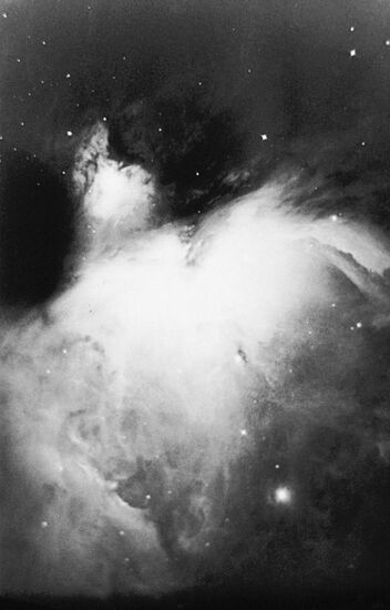 Orion Nebula 