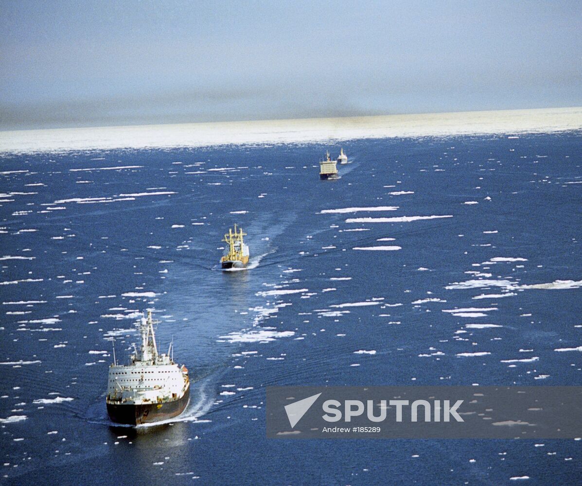 Northern Sea Route caravan