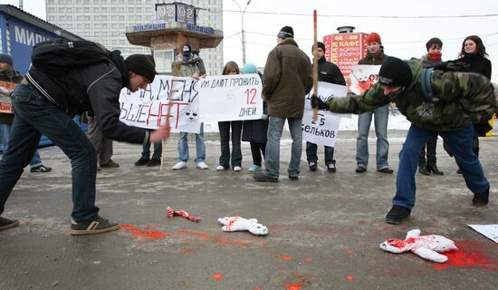 Protests against harp seal pups culling