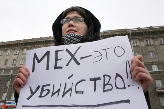 Protests against harp seal pups culling