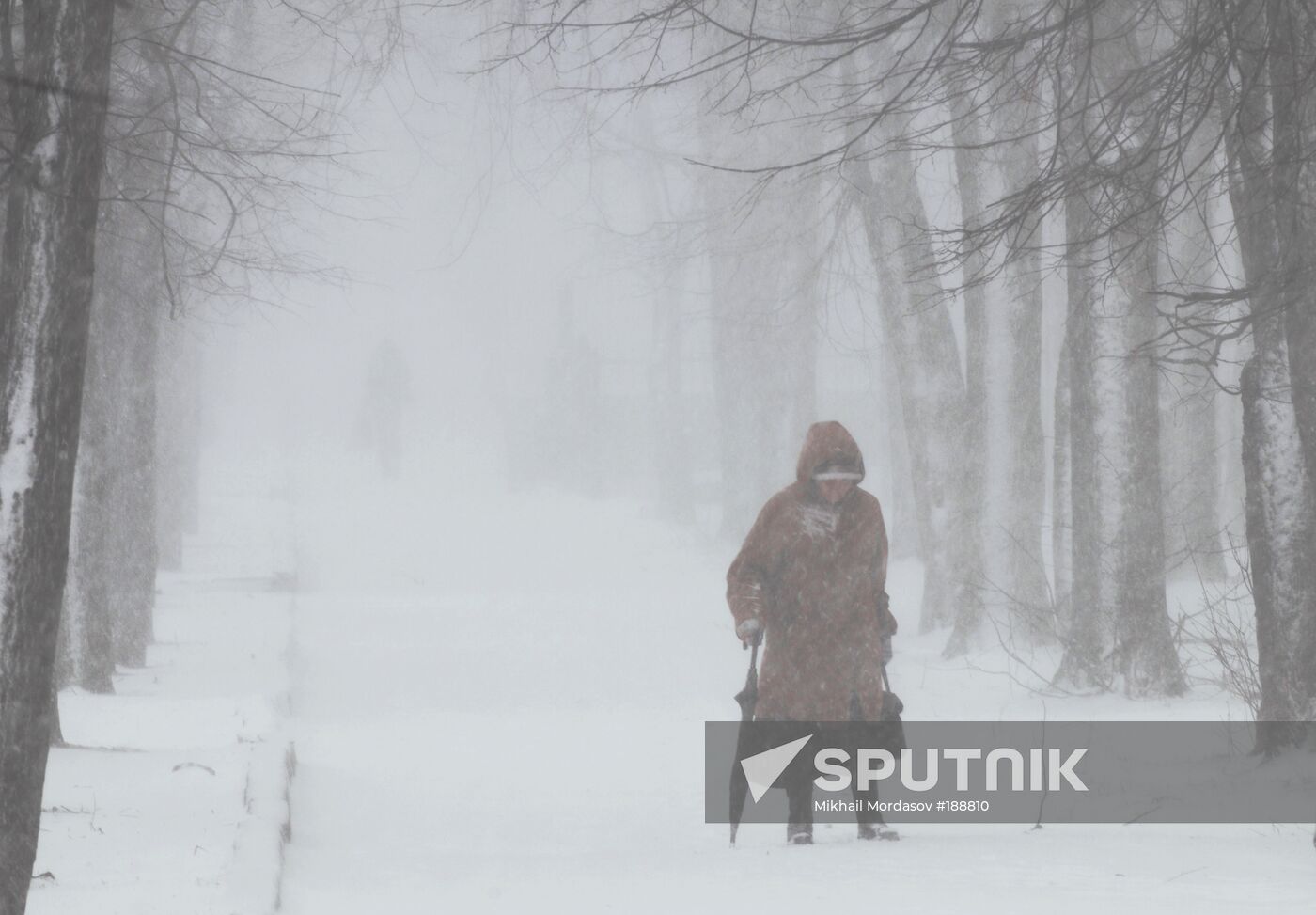 A snowstorm in Veliky Novgorod 