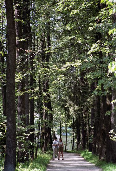 ALLEY ABRAMTSEVO WALK