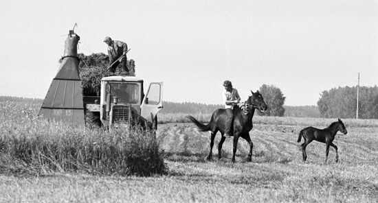TENANT FARMERS CROP HARVESTING