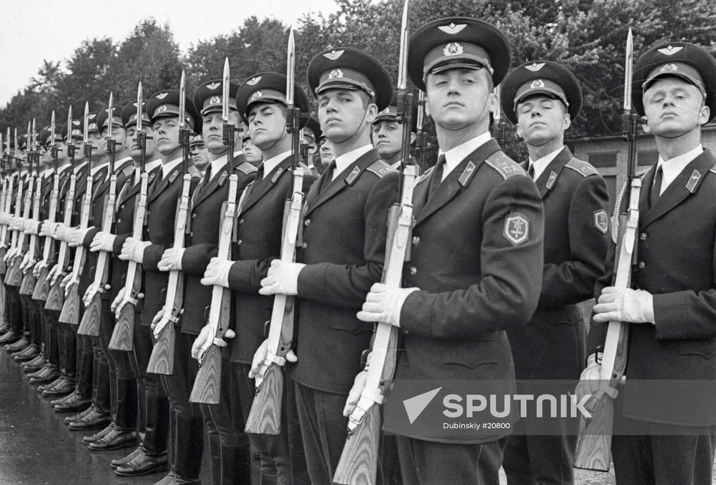GUARD OF HONOR 
