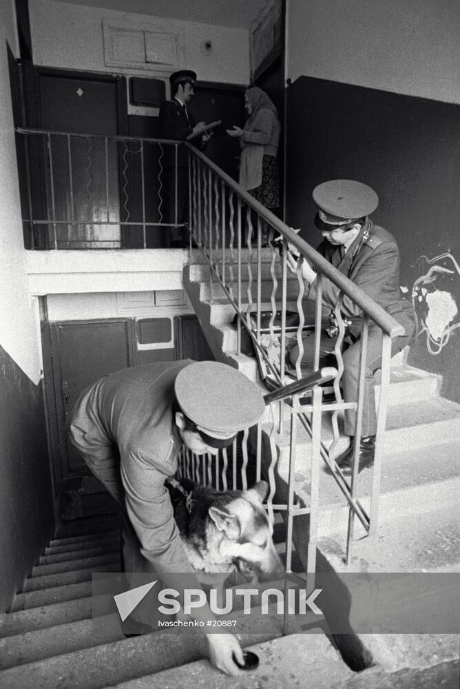 CRIMINAL INVESTIGATION DOG CRIME SCENE
