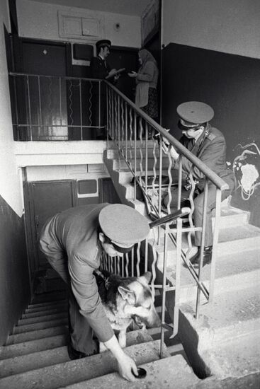 CRIMINAL INVESTIGATION DOG CRIME SCENE