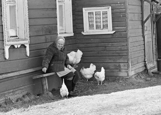 OLD WOMAN CHICKENS