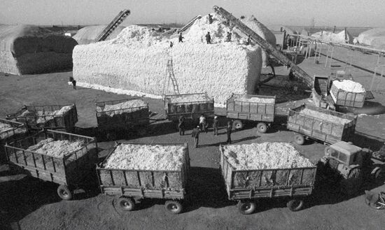 COTTON STATE FARM 'KARAKUM KANAL'