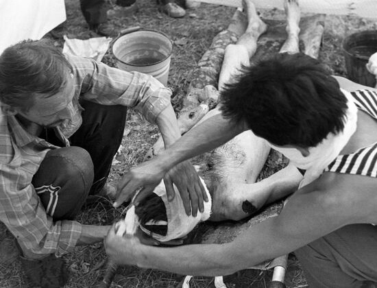 KURGAN TYUBE REGION BURIAL