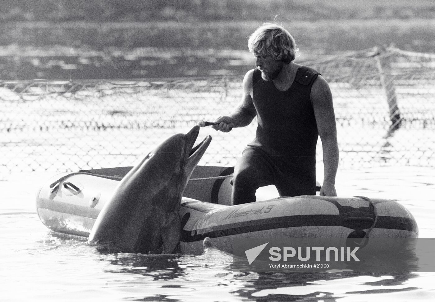 TAMER DOLPHIN DOLPHINARIUM