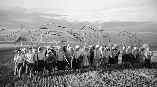 COLLECTIVE FARMERS HARVESTING FIELD FORK