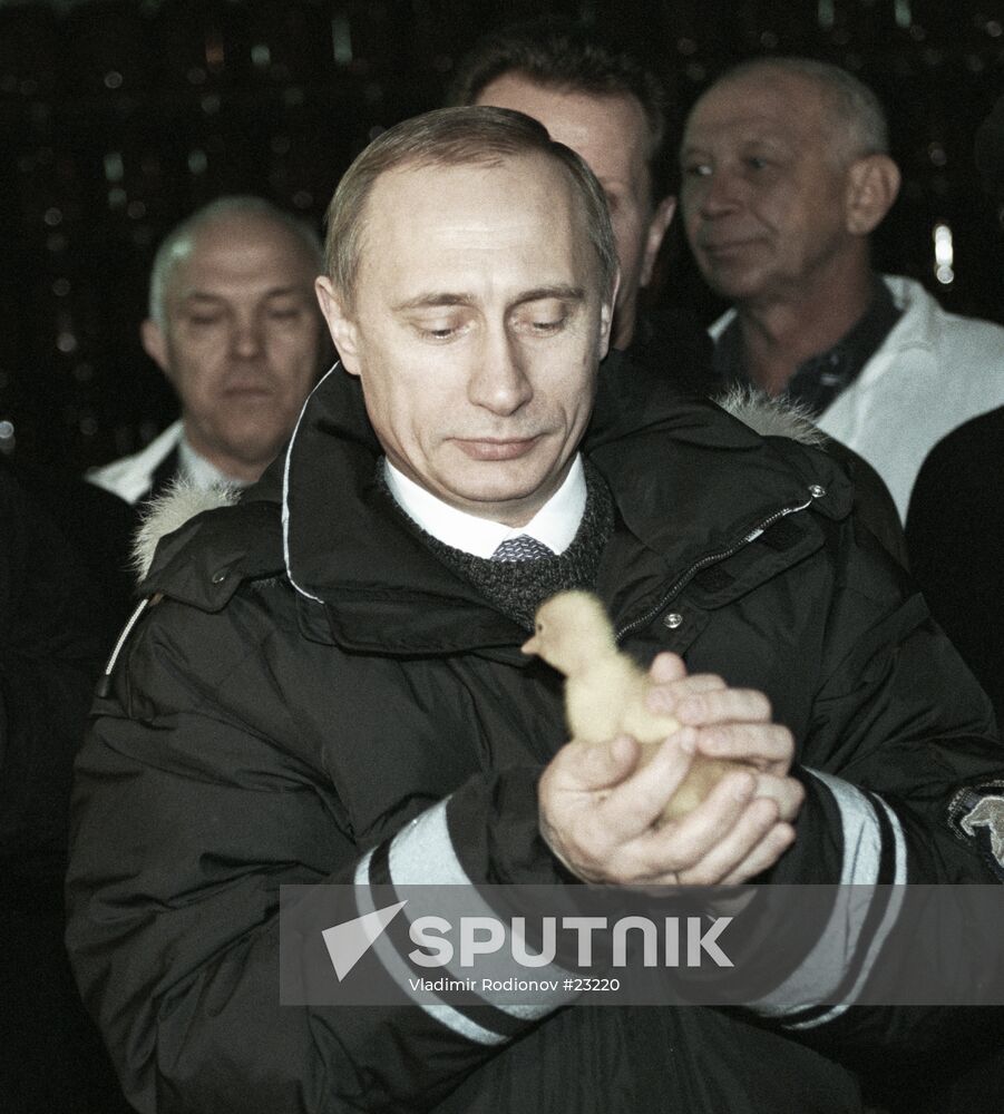 PUTIN COLLECTIVE FARM KOLOS