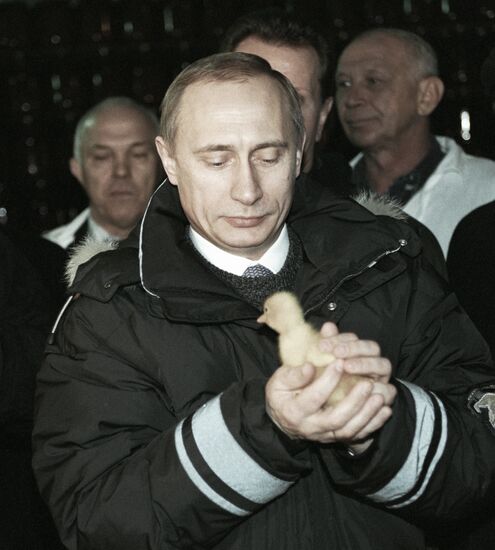 PUTIN COLLECTIVE FARM KOLOS