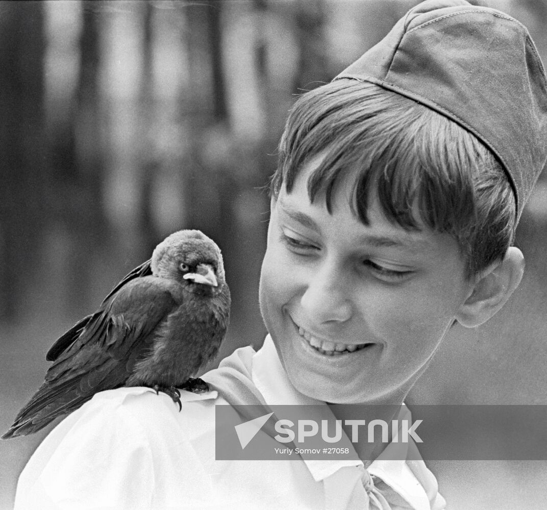 BIRD SHOULDER YOUNG PIONEER