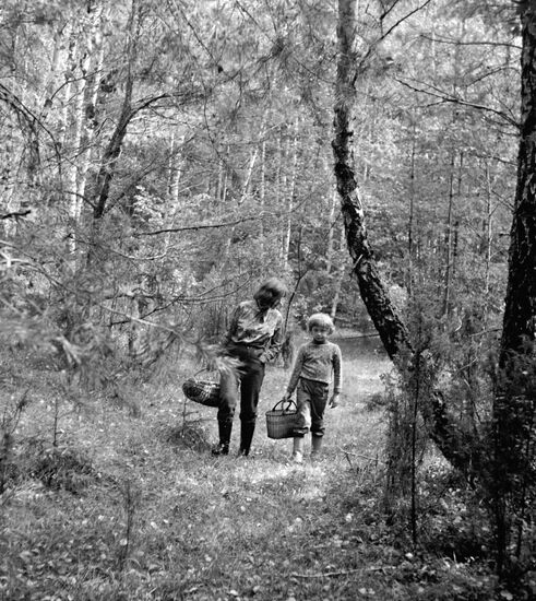 MUSHROOM HUNTERS