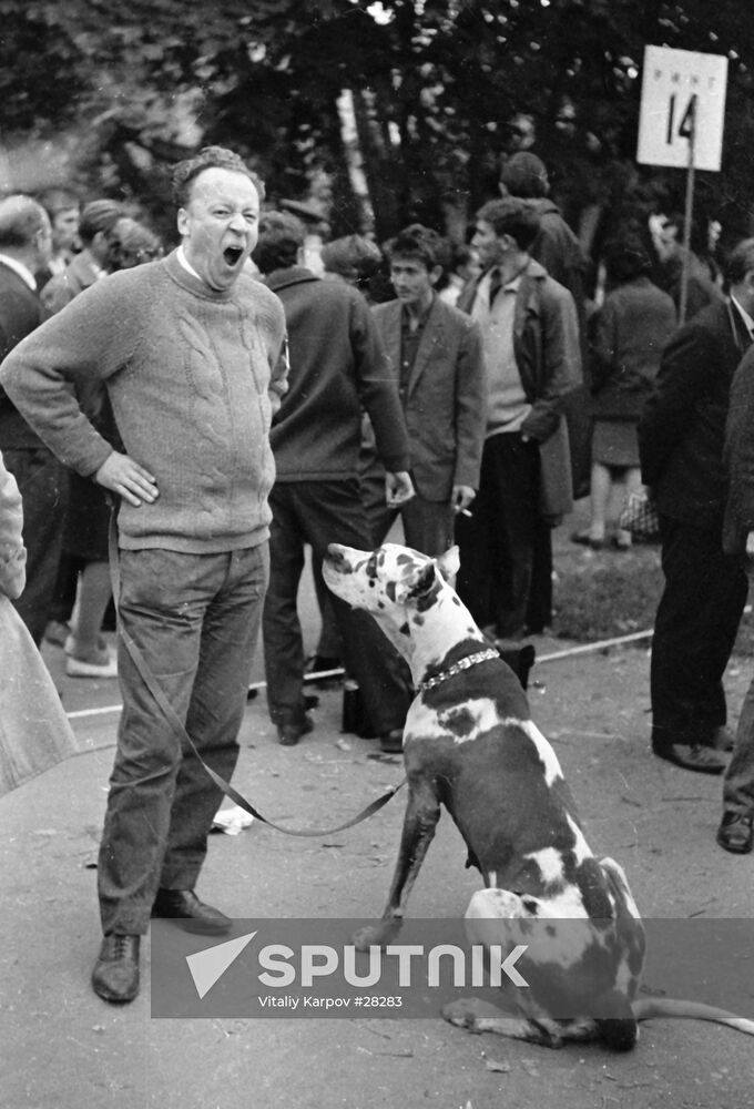 DOGMAN DOG