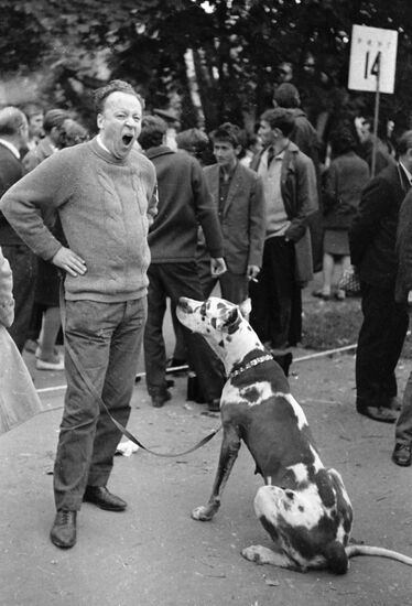 DOGMAN DOG