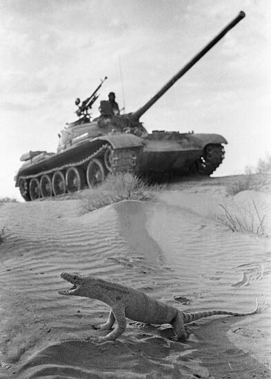 DESERT TANK MONITOR