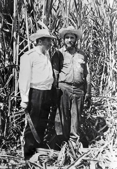 SOKOLAN CASTRO PLANTATION SUGAR CANE 