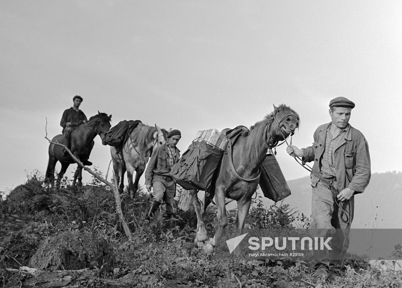 GEOLOGISTS HORSES