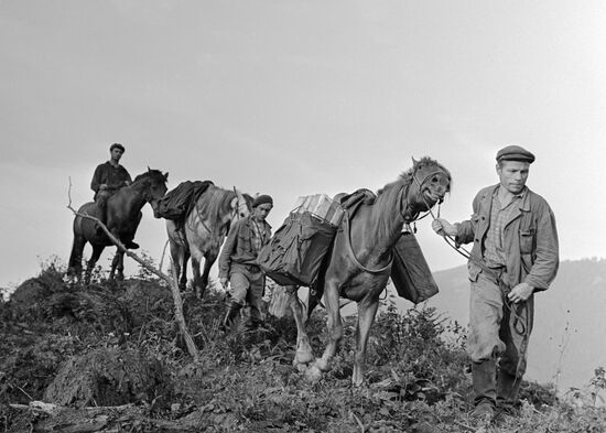 GEOLOGISTS HORSES 