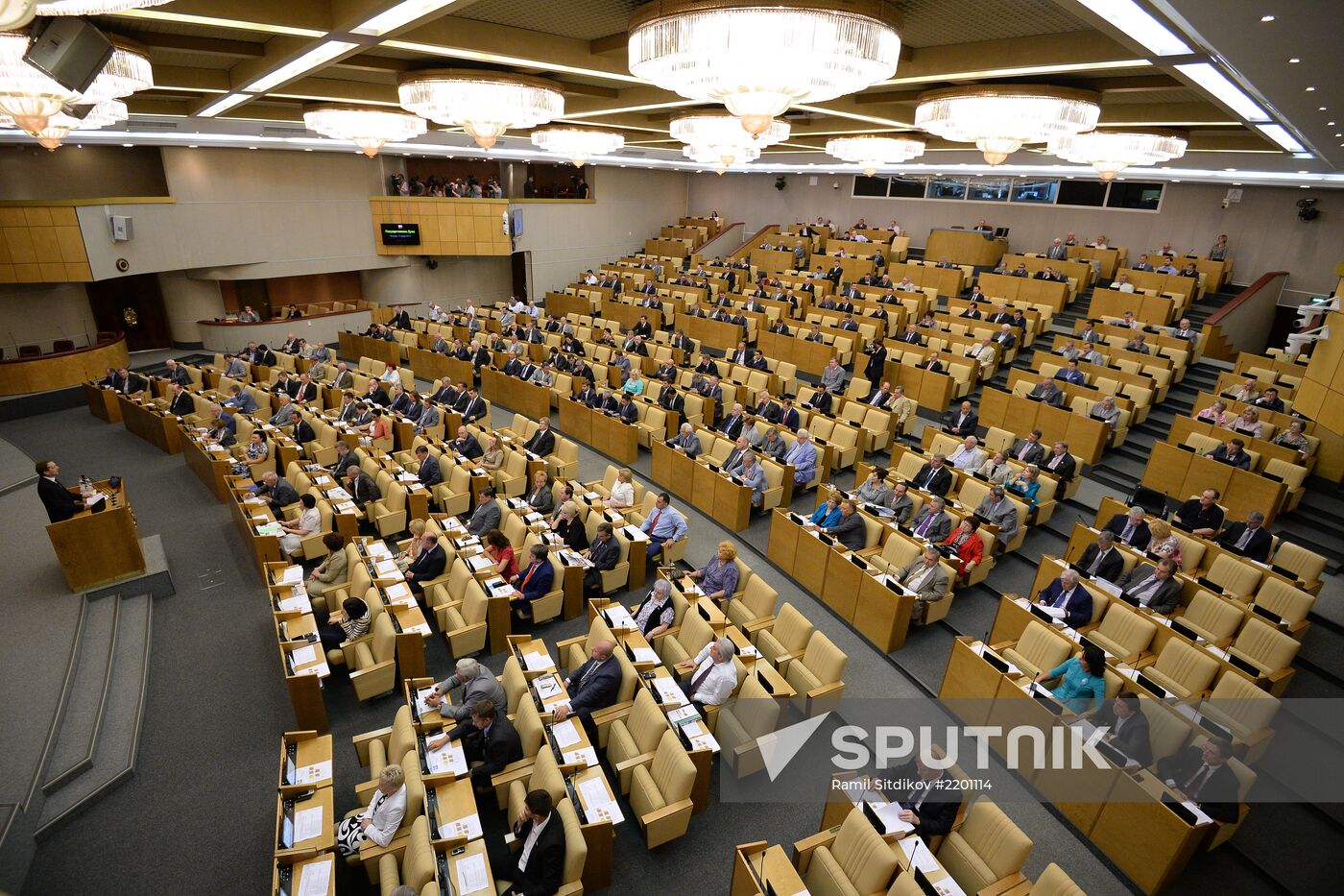 State Duma's plenary meeting