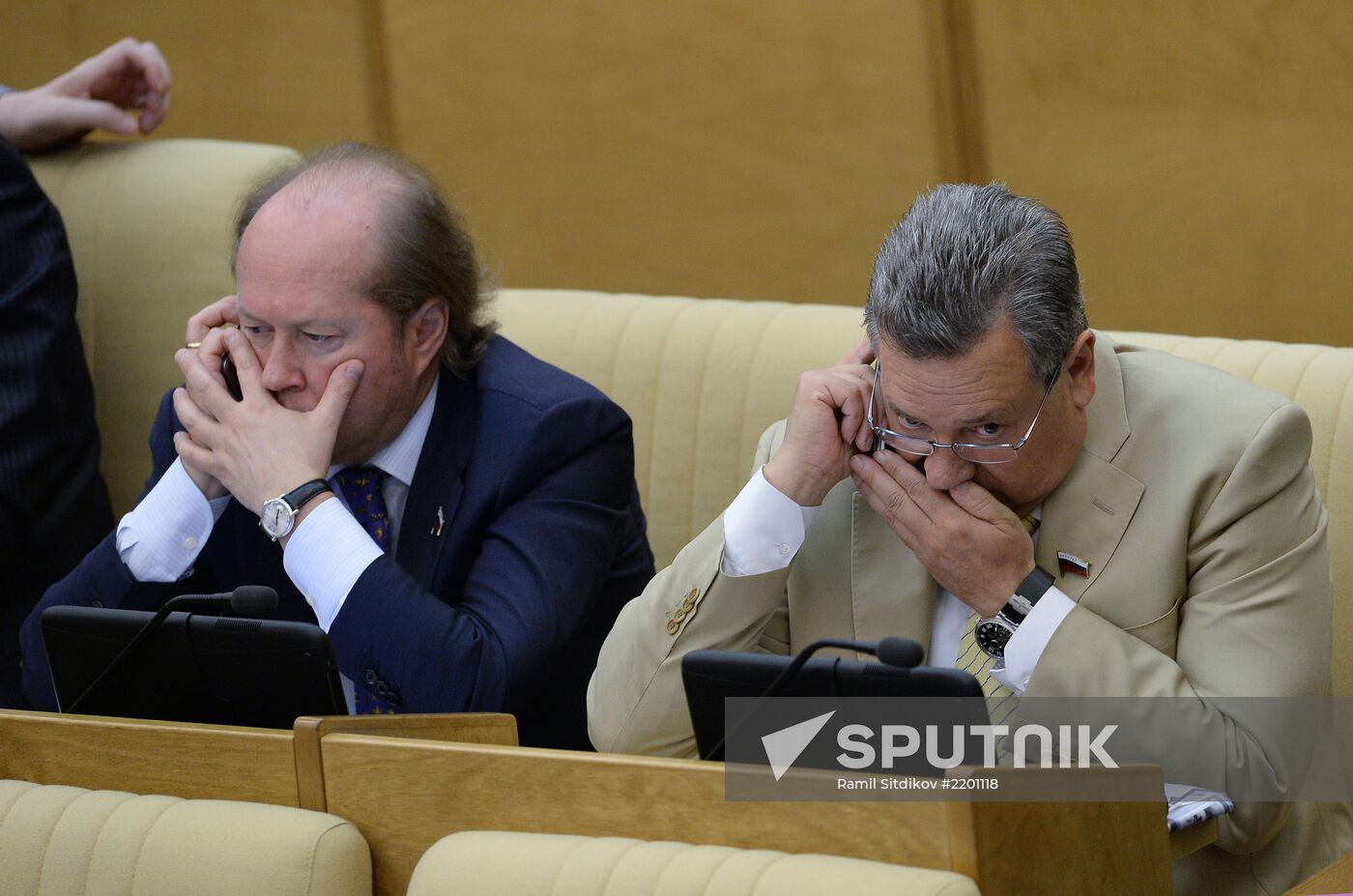 State Duma's plenary meeting