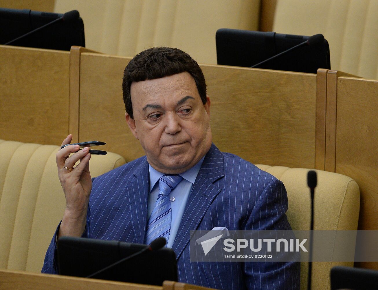 State Duma's plenary meeting