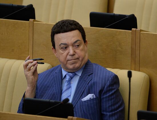 State Duma's plenary meeting