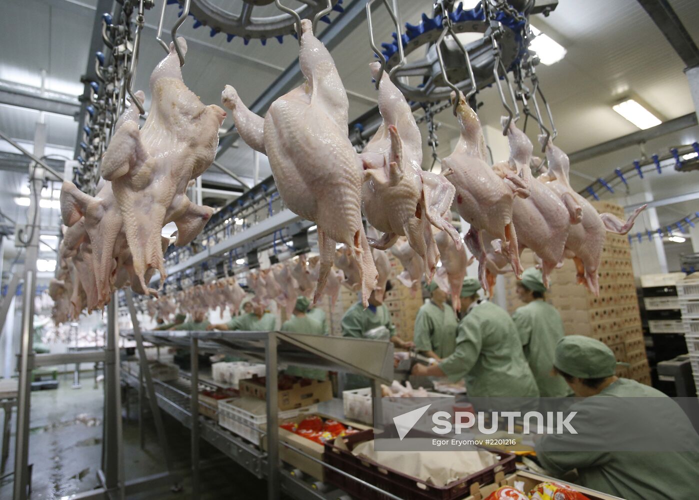 Rassvet poultry farm, Gomel District