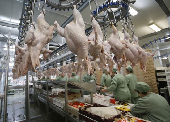 Rassvet poultry farm, Gomel District