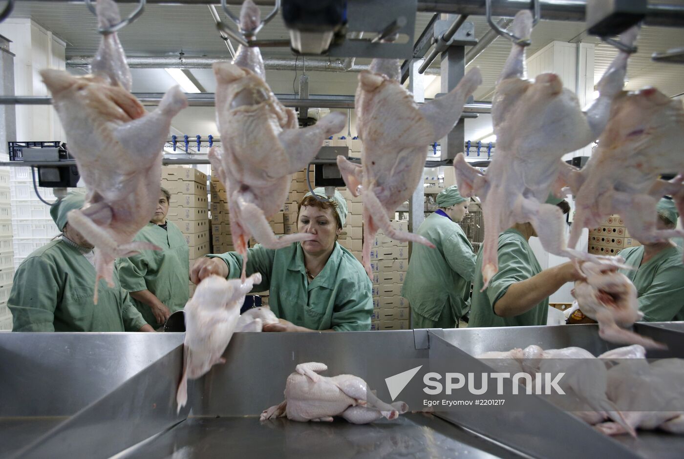 Rassvet poultry farm, Gomel District