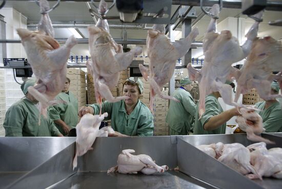 Rassvet poultry farm, Gomel District