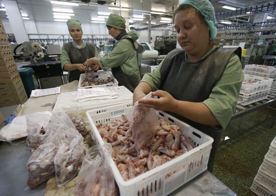 Rassvet poultry farm, Gomel District