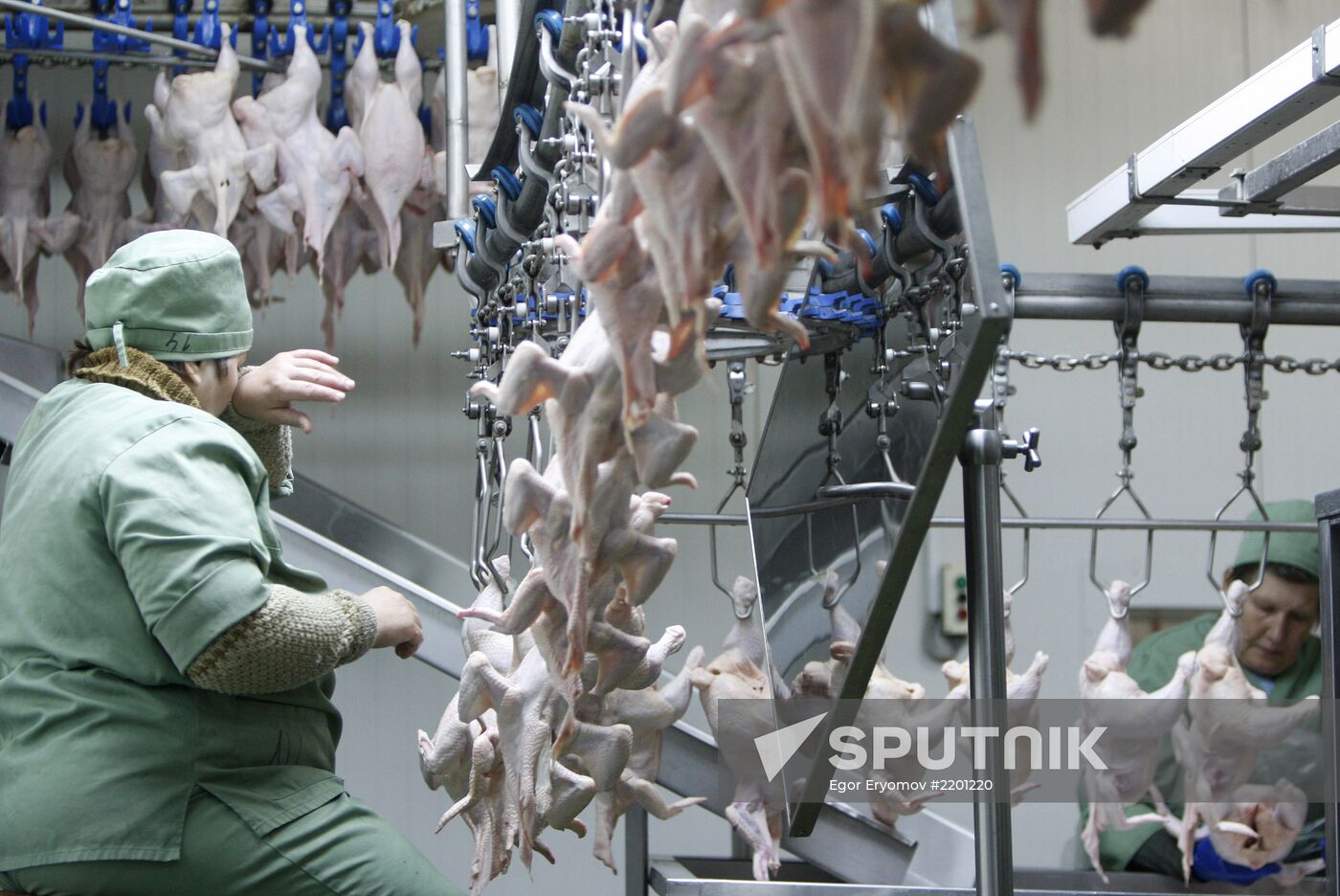 Rassvet poultry farm, Gomel District