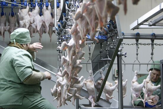 Rassvet poultry farm, Gomel District