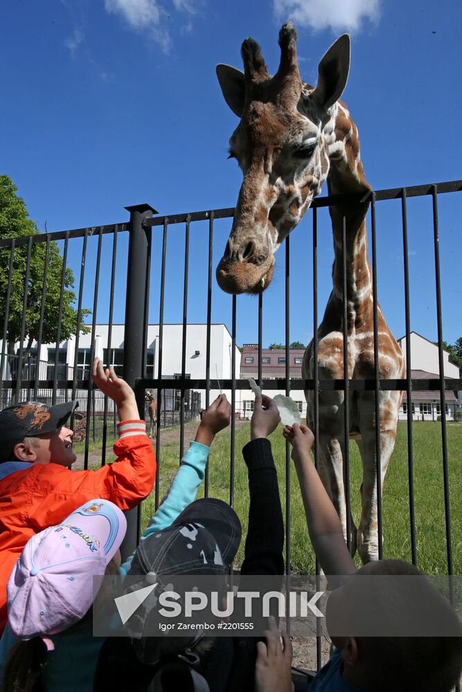 Kaliningrad zoo