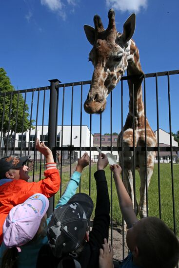 Kaliningrad zoo