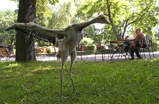Kaliningrad zoo