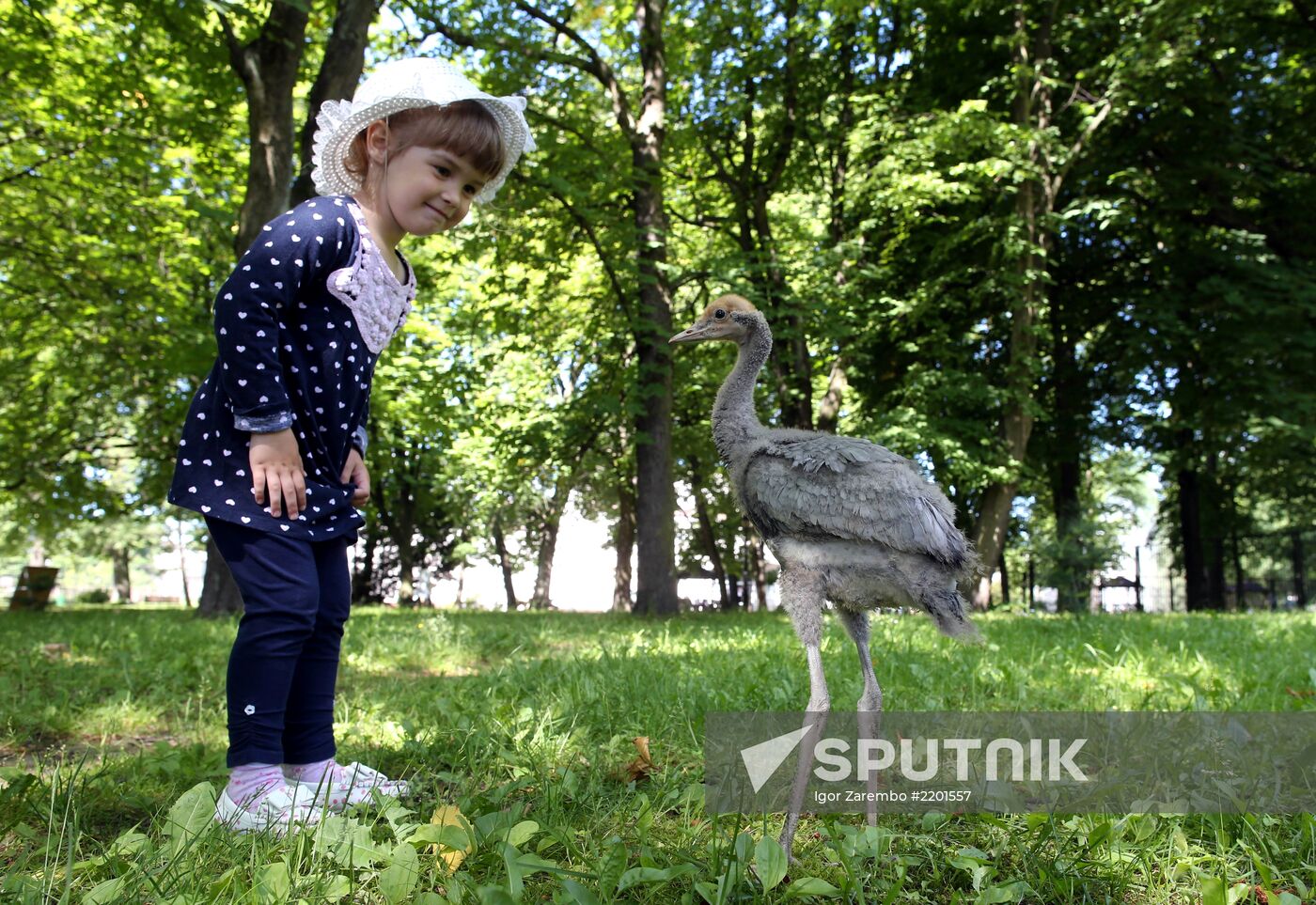 Kaliningrad zoo