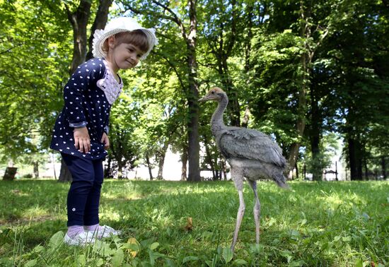 Kaliningrad zoo